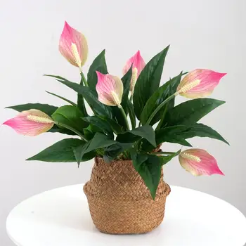 Красивый Искусственный цветок с тонкой текстурой, яркая пластиковая имитация ручной работы, спатифиллум для дома